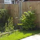 Ben Bonnett Fencing - concrete posts