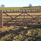 Ben Bonnett Fencing - gates